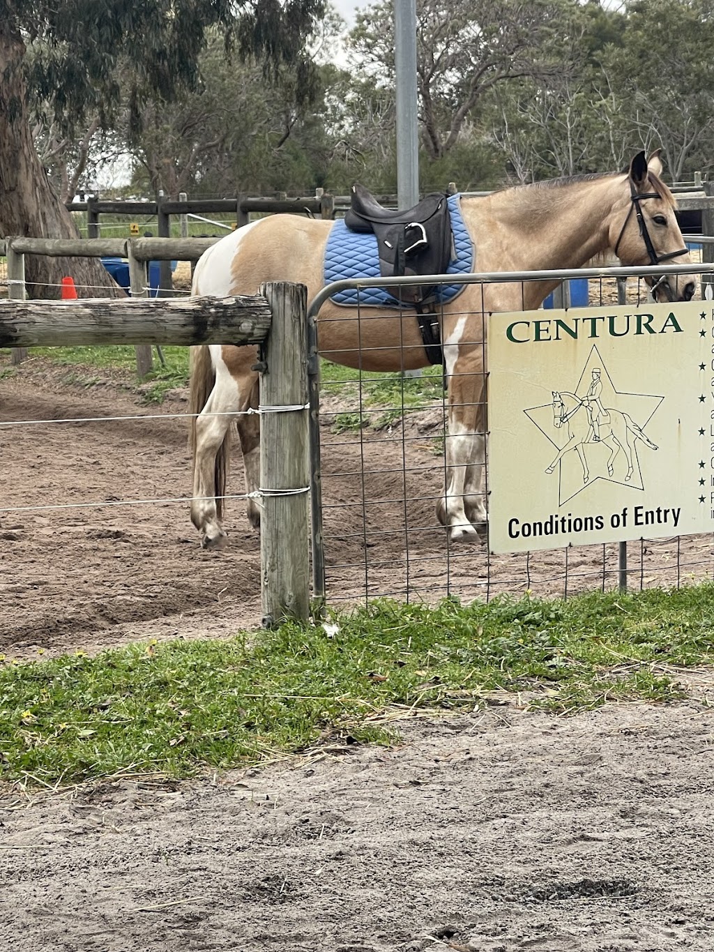 Centura Riding School | 48 Franklin Rd, Jandabup WA 6077, Australia | Phone: 0400 233 621