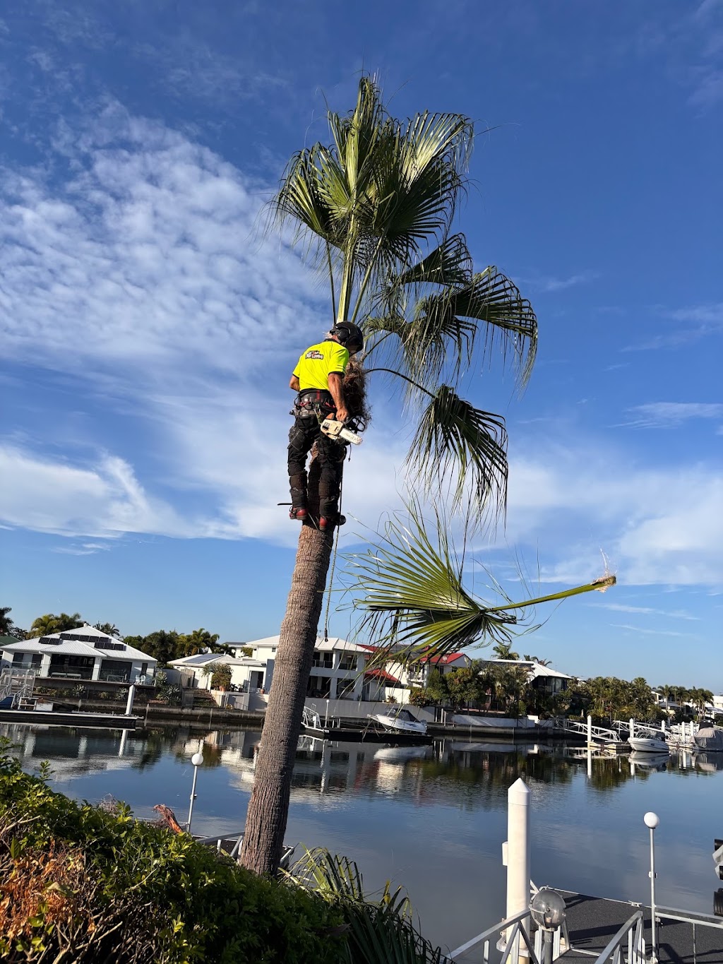 S&K Tree Lopping | Alexander Cres, Morayfield QLD 4506, Australia | Phone: 0493 416 150
