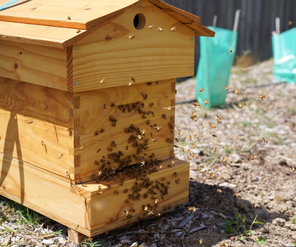 MayaXala Honey by Nathan Stewart | 13 Spectacular Ave, Doreen VIC 3754, Australia | Phone: 0412 742 006