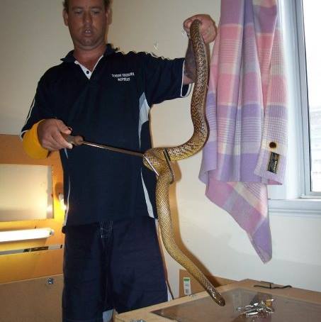 Robert Watson Snake Catcher Brisbane | park | 104 Mawson st Stafford heights 4053, Brisbane QLD 4053, Australia | 0401164492 OR +61 401 164 492