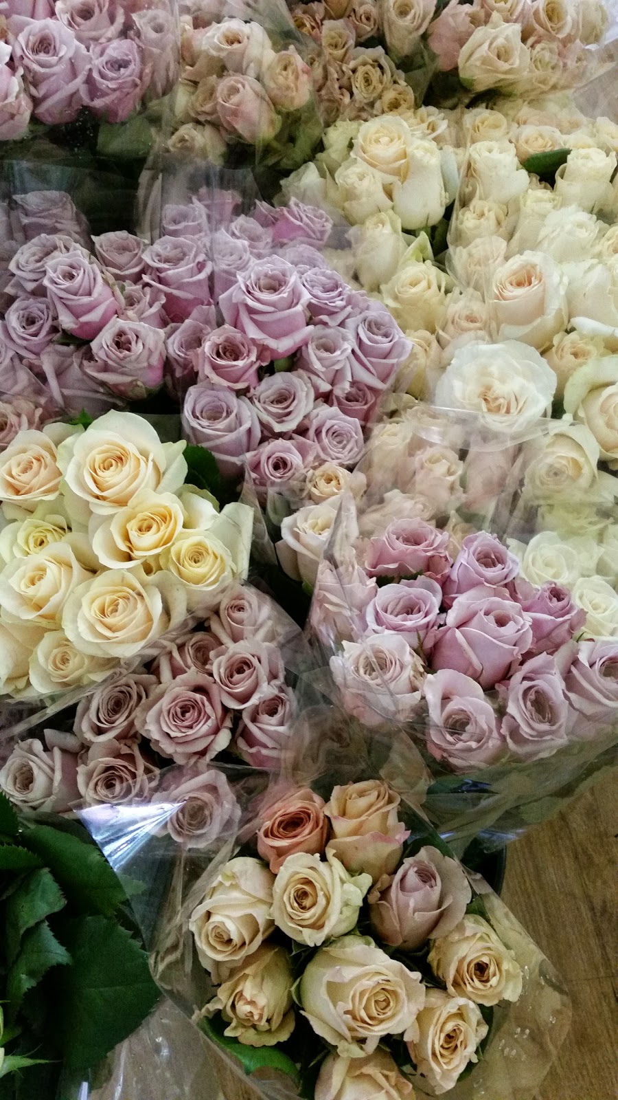 Sea Rose Florist | florist | Shop 4/15-17 Forresters Beach Rd, Forresters Beach NSW 2260, Australia | 0243856444 OR +61 2 4385 6444