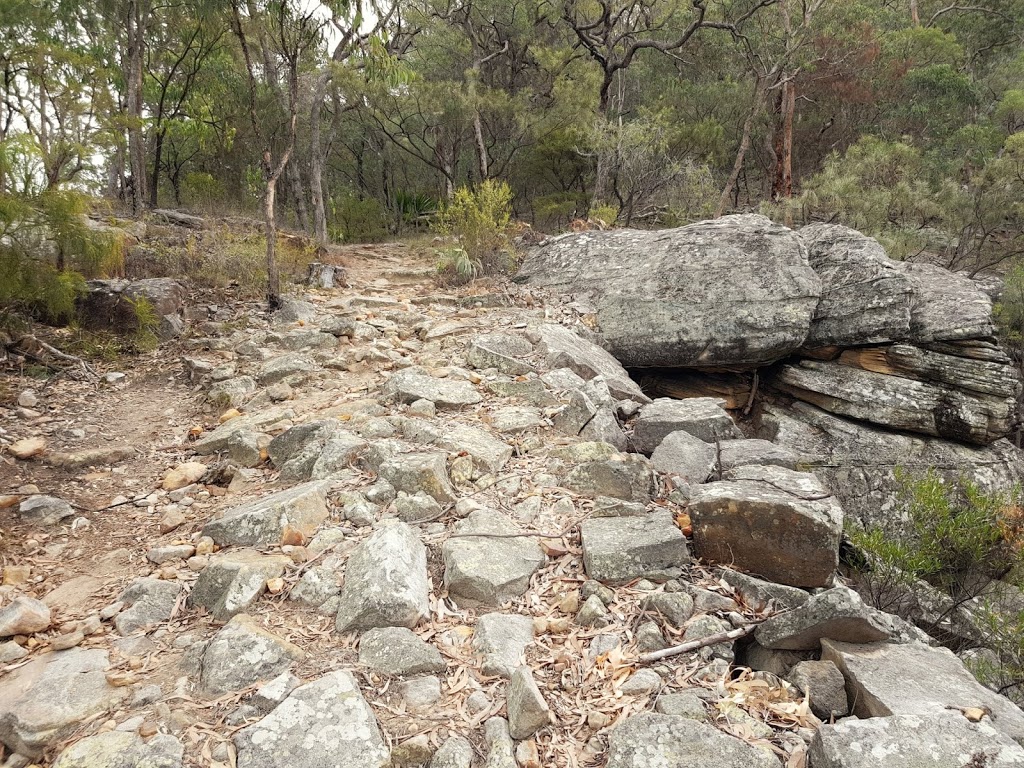 Finches Line Trail Head | park | Finches Line Walking Track, Lower MacDonald NSW 2775, Australia