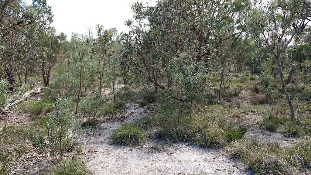 Banksia Conservation Reserve | park | Banksia Rd, Wellard WA 6170, Australia