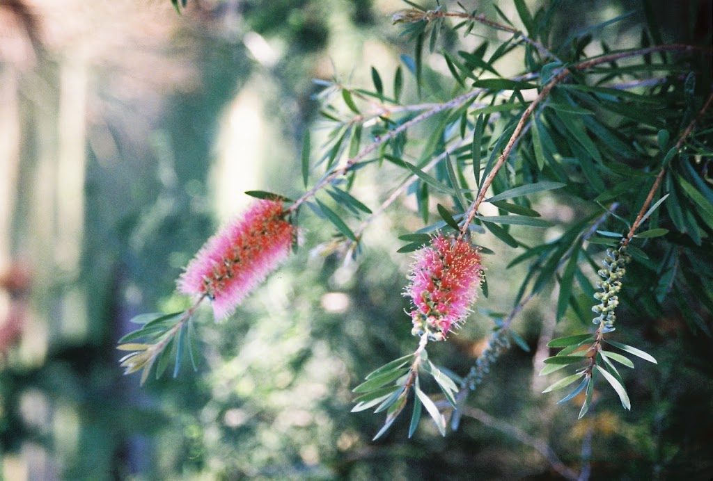 Country Coasts & Rivers |  | 13 Seaflower Way, Gabbadah WA 6041, Australia | 0408114721 OR +61 408 114 721