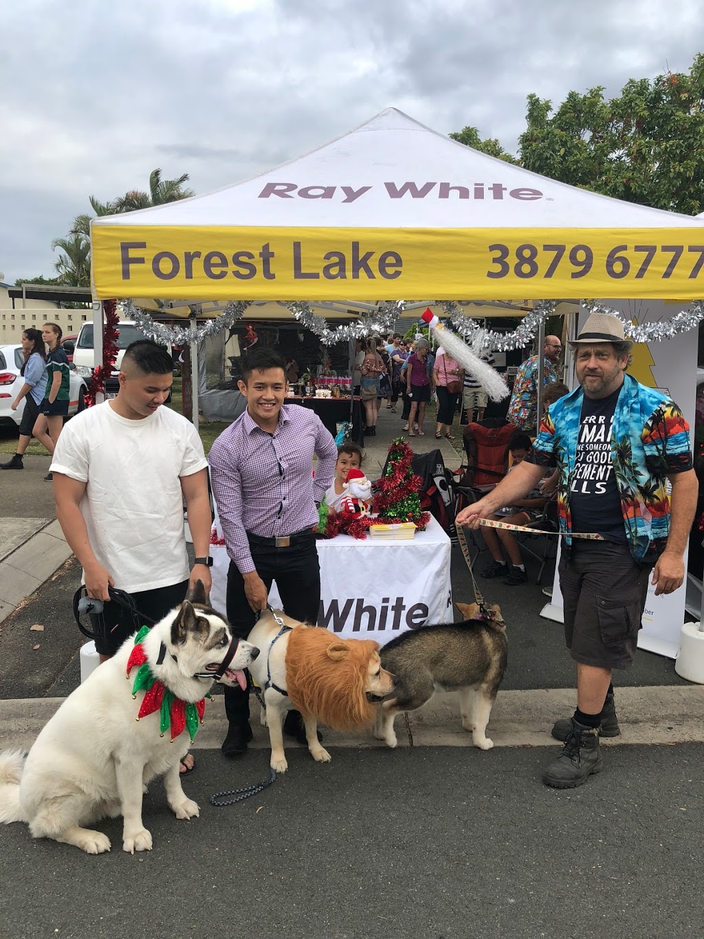 Ray White Forest Lake | Office F1A1 (Professional Suites) Forest Lake Shopping Centre, 235 Forest Lake Blvd, Forest Lake QLD 4078, Australia | Phone: (07) 3879 6777