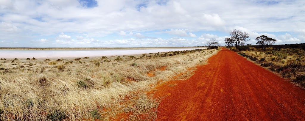 Yarra Yarra Lakes Nature Reserve | Western Australia, Australia