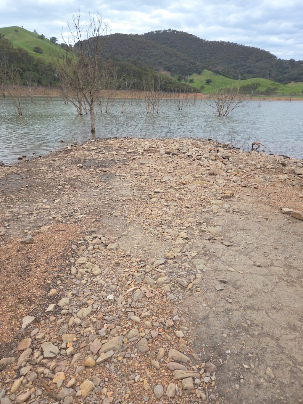 Roćknia | Lake Eildon VIC 3713, Australia | Phone: 0493 774 181