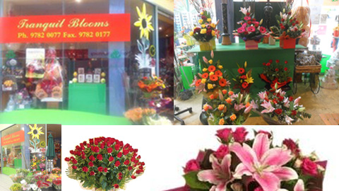 Tranquil Blooms Florist | florist | Shop 22A The Downs, 100 Hall Road, Carrum Downs VIC 3201, Australia | 0397820077 OR +61 3 9782 0077