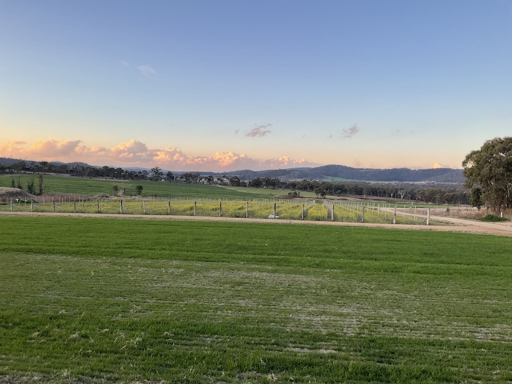 New Tricks Winery | 254 Curtin Rd, Ballandean QLD 4382, Australia | Phone: 0416 189 775 New Tricks Winery | 254 Curtin Rd, Ballandean QLD 4382, Australia | Phone: 0416 189 775