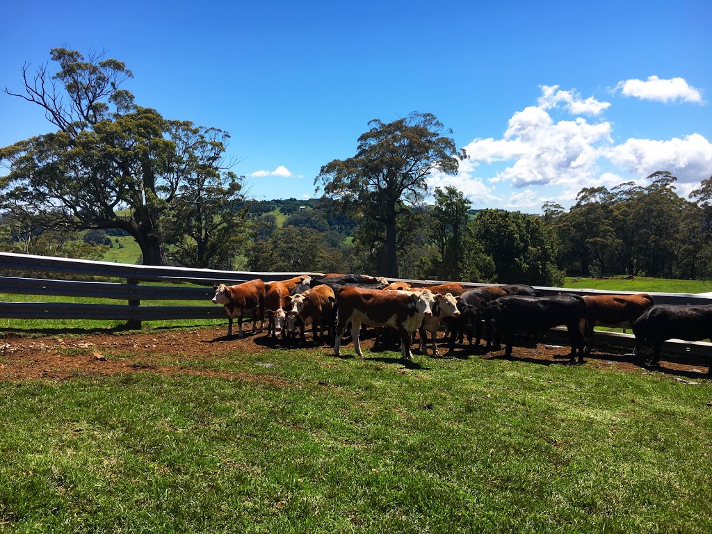 Maugers Paddock to Plate Tours | 5110 Illawarra Hwy, Robertson NSW 2577, Australia | Phone: 0488 499 442