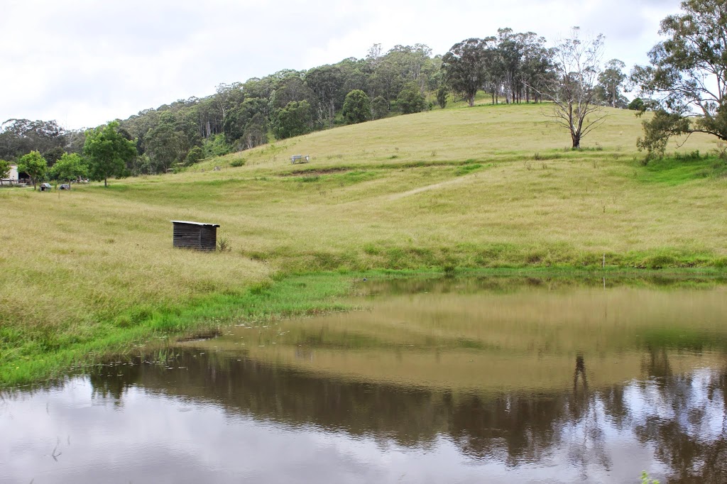 Lahara Farm | food | 495 Belbora Creek Rd, Belbora NSW 2422, Australia | 0418749520 OR +61 418 749 520