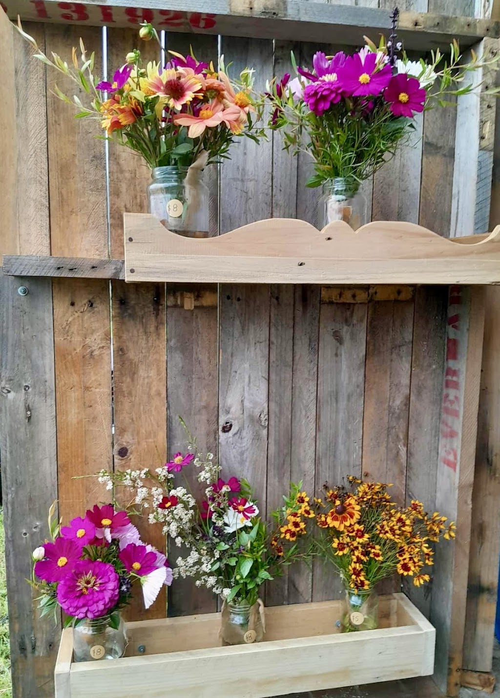 Cawongla Harvest | 5178 Kyogle Rd, Cawongla NSW 2474, Australia | Phone: 0414 830 166