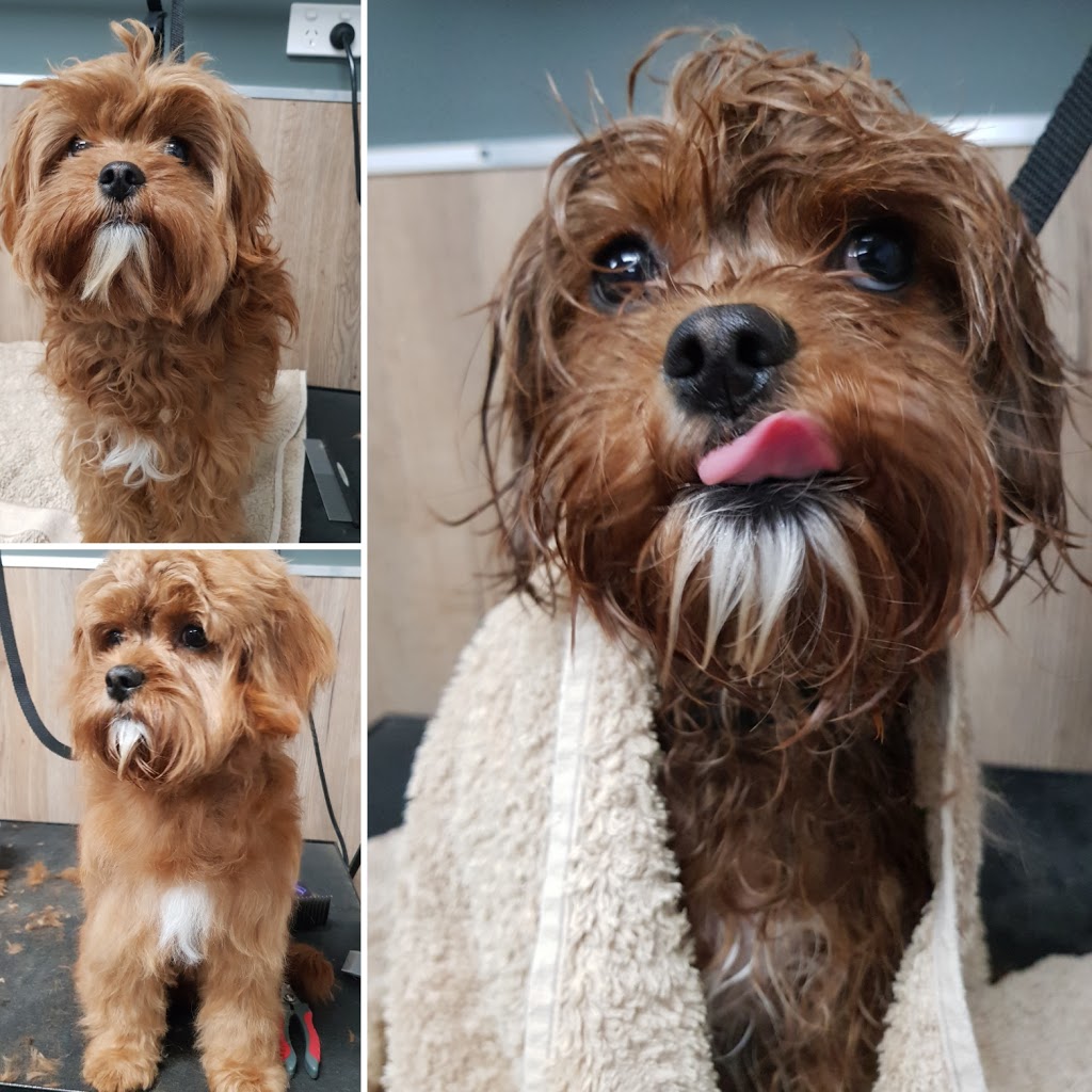 Organix Dog Spa | 1223 Ison Rd, Manor Lakes VIC 3024, Australia | Phone: 0433 495 533