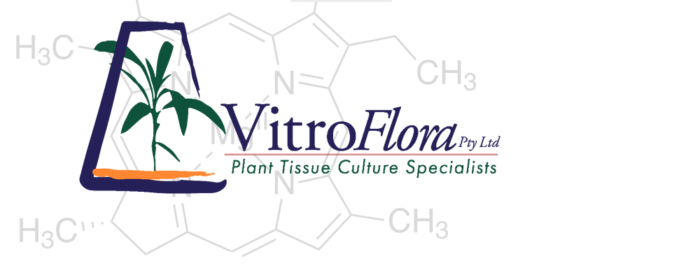 Vitroflora - Plant Tissue Culture Specialist |  | 178 Old Palmwoods Rd, Diddillibah QLD 4559, Australia | 0754423046 OR +61 7 5442 3046