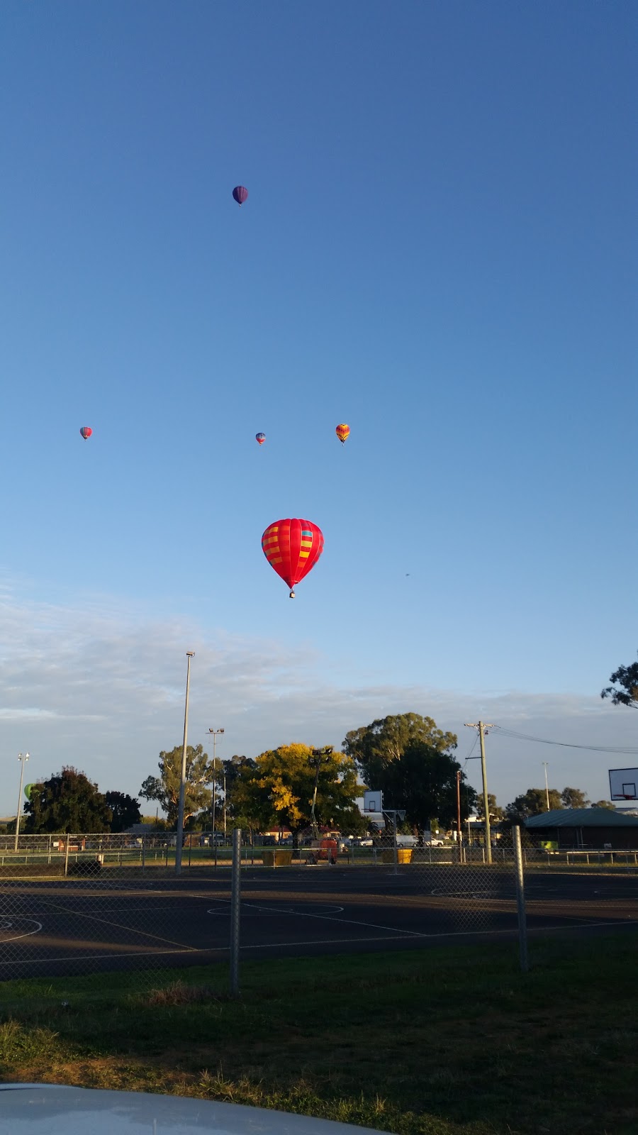 Morris Park | park | Rodd St, Canowindra NSW 2804, Australia | 0263923200 OR +61 2 6392 3200