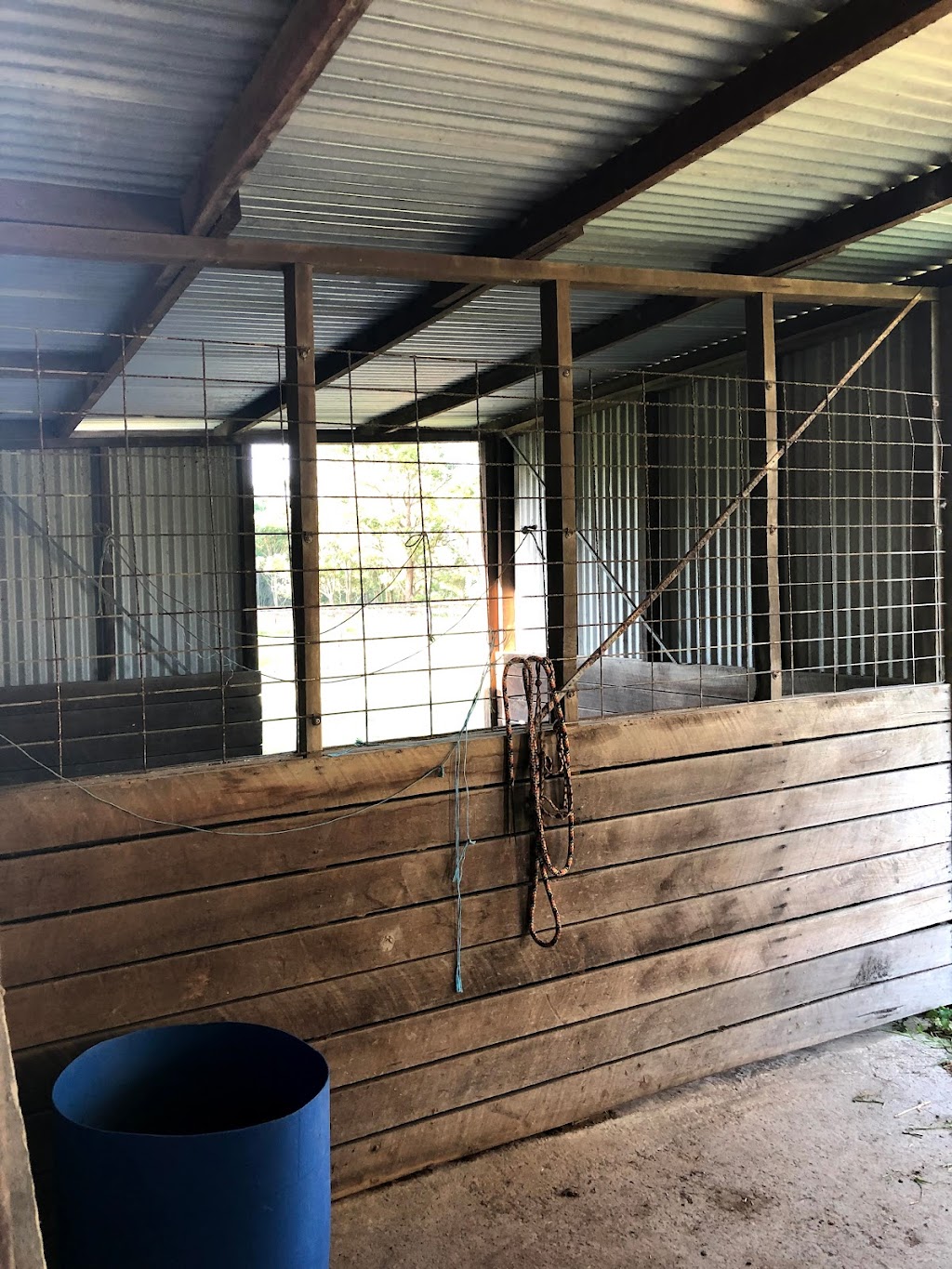 Brighton Park Boutique Agistment | 270 Bushells Ridge Rd, Wyee NSW 2259, Australia | Phone: 0411 113 045