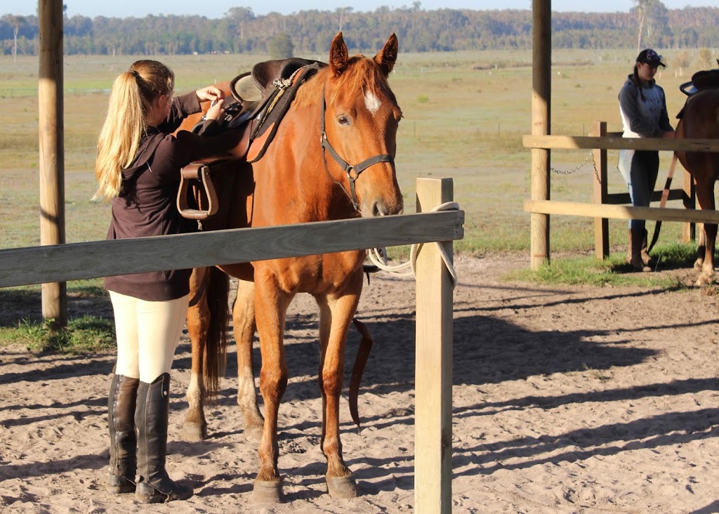 Quarter Mile Ranch | 383-425 Wallace Rd N, Ningi QLD 4511, Australia | Phone: 0417 442 992