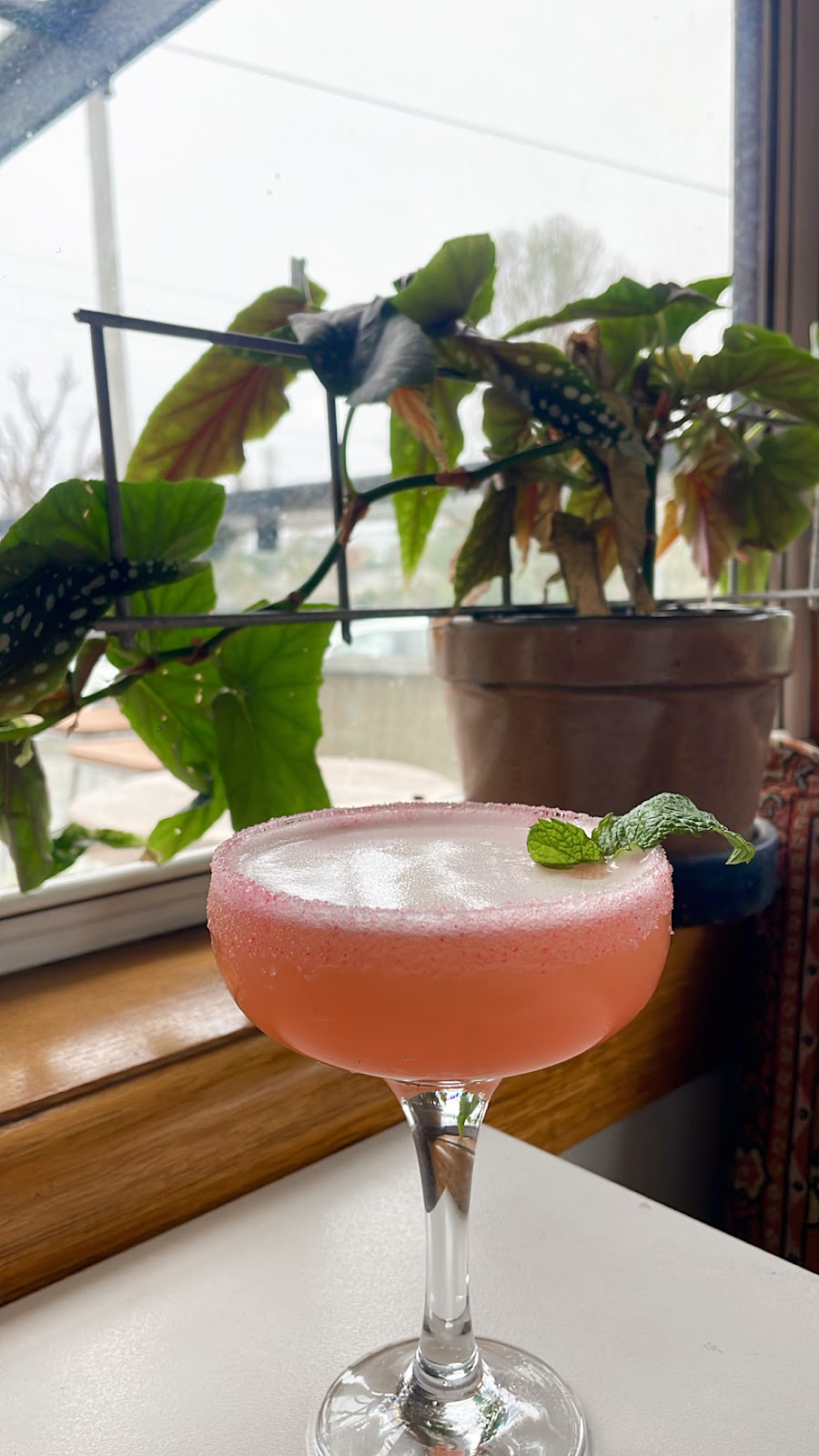 Palmer’s Winchelsea | 5 Palmer St, Winchelsea VIC 3241, Australia | Phone: 0491 123 173