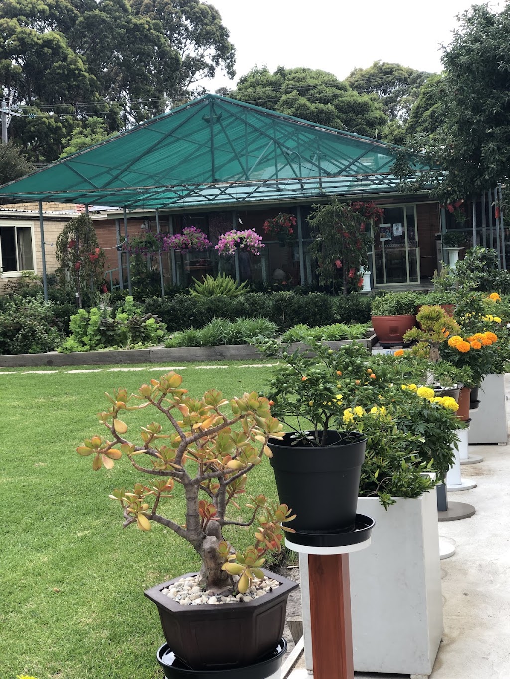 Thien Vien Truc Lam Tieu Dao - Zen Buddhist Monastery | 71-77 Pietro Rd, Heatherton VIC 3202, Australia | Phone: 0421 366 795