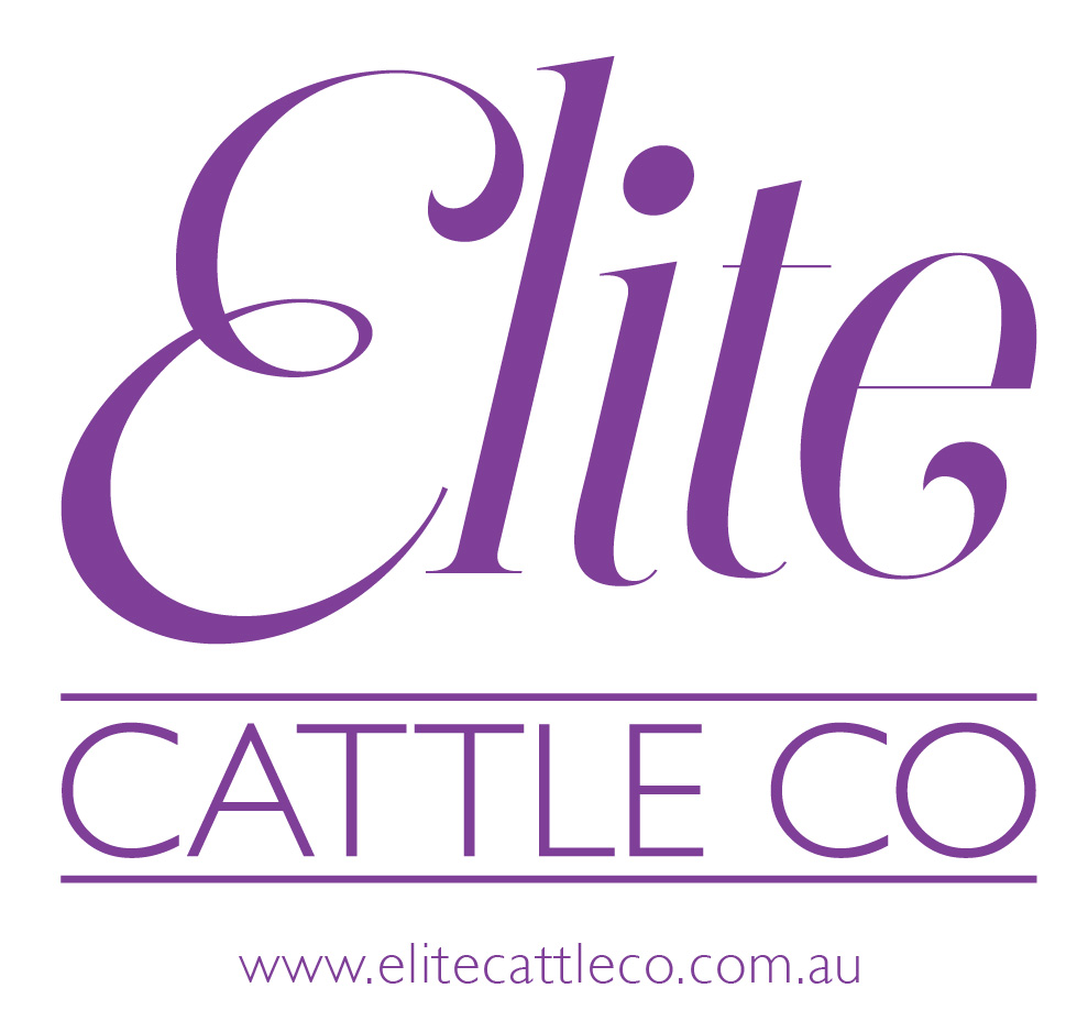 Elite Cattle Co | 207 Meandarra Talwood Rd, Meandarra QLD 4422, Australia | Phone: 0438 662 117