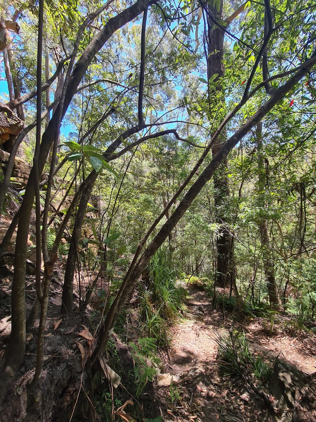 Kellys Falls picnic area |  | Princess Marina Track, Stanwell Tops NSW 2508, Australia | 0295420648 OR +61 2 9542 0648