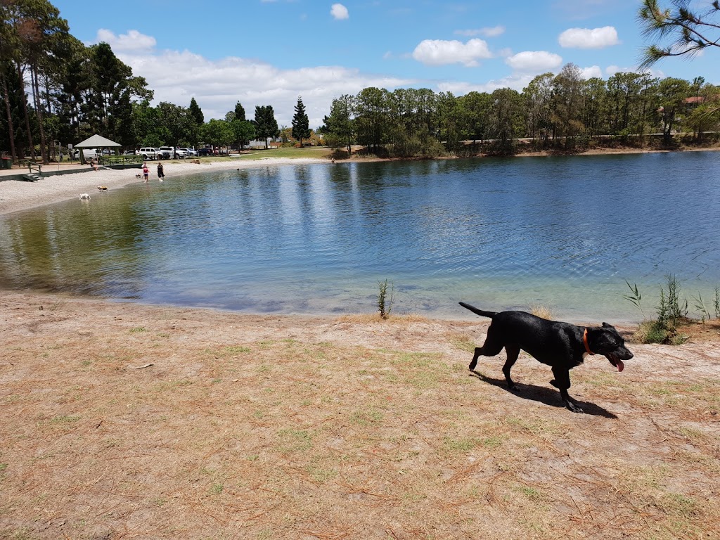 Pizzey Fenced Agility Dog Park | park | 24 Pizzey Dr, Mermaid Waters QLD 4218, Australia