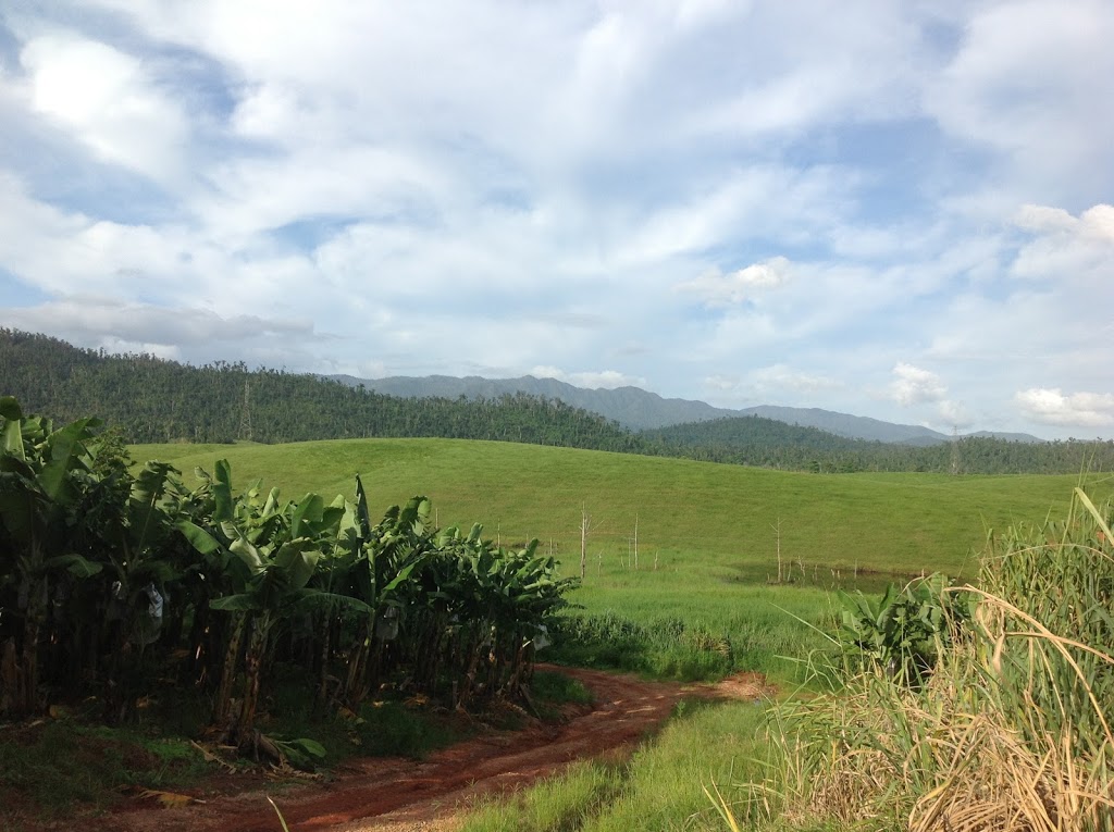 Mackays banana packing shed in Tully Valley | Cardstone QLD 4854, Australia | Phone: (07) 4088 7800