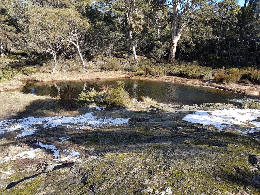 Shaw Creek Billabong | Kelly Ln, Tamboritha VIC 3858, Australia | Phone: 0416 102 291