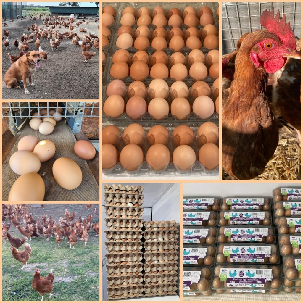KeBella Farm | Rangemore Rd, Tullakool NSW 2732, Australia | Phone: 0418 630 737