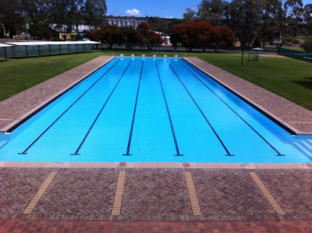 Mount Barker Swimming Pool | Mead St, Mount Barker WA 6324, Australia | Phone: (08) 9851 1357