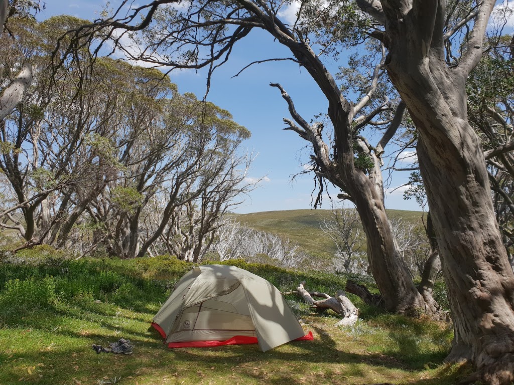 Edmondson Hut Campground | campground | Falls Creek VIC 3699, Australia