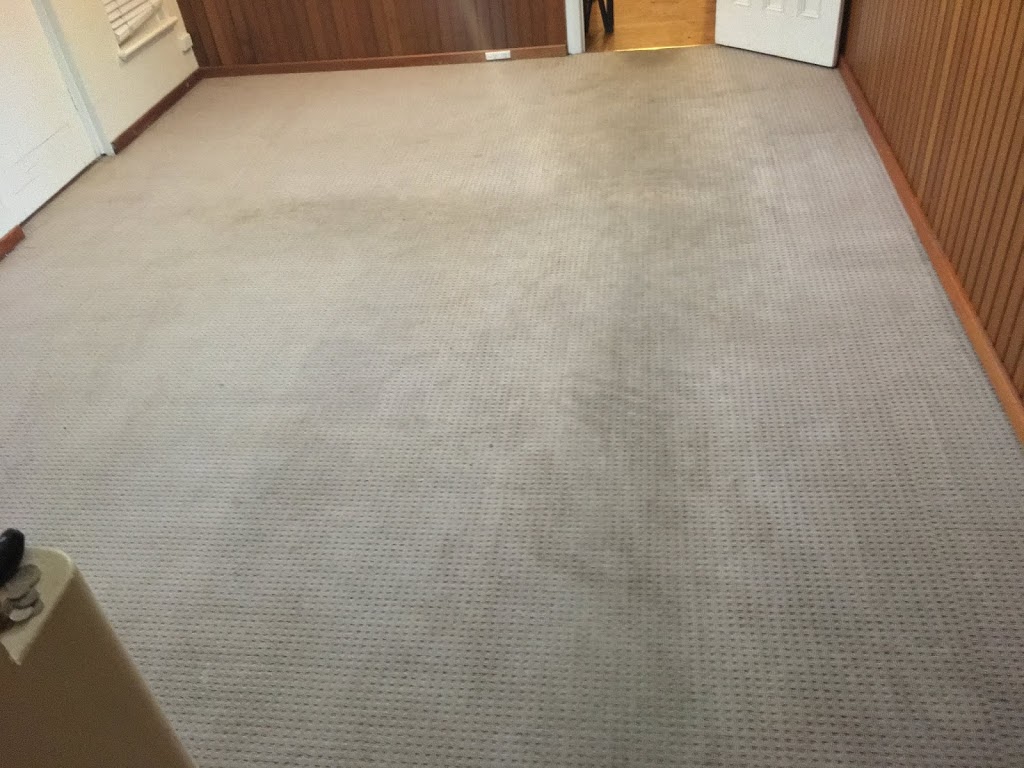 SES Carpet Cleaning Saint Marys | laundry | 2 Laura Ave, St Marys SA 5042, Australia