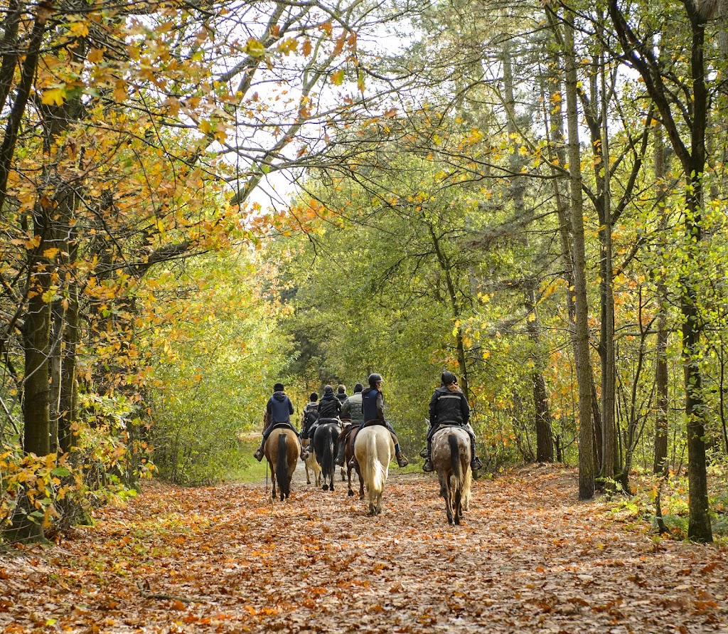 Highlands Equine Trail Adventures ( on your own horse) | 7007 Illawarra Hwy, Moss Vale NSW 2577, Australia | Phone: 0447 224 473