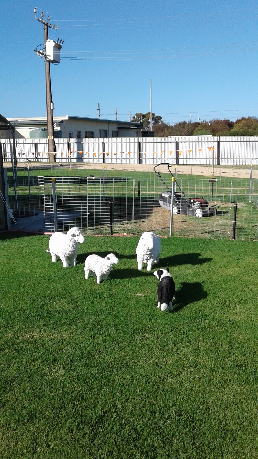 Naracoorte Bowls Club | 191 Smith St, Naracoorte SA 5271, Australia | Phone: (08) 8762 2287