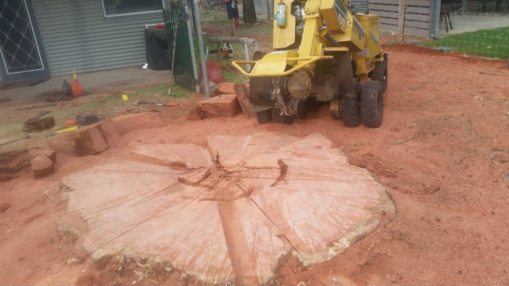Mr Stumpy Tree and Stump Removal |  | 24B Nathan St, Parafield Gardens SA 5107, Australia | 0412845839 OR +61 412 845 839