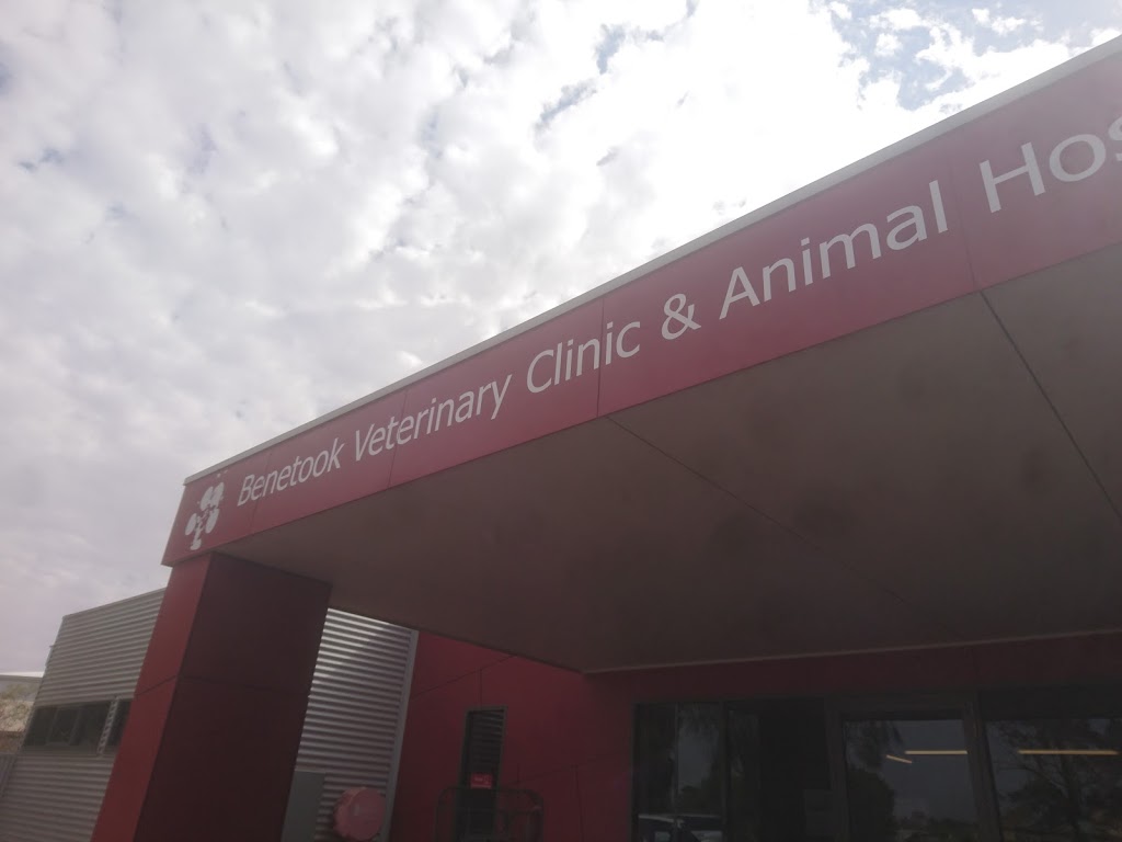 Benetook Veterinary Clinic | veterinary care | 634 Benetook Ave, Mildura VIC 3500, Australia | 0350222455 OR +61 3 5022 2455