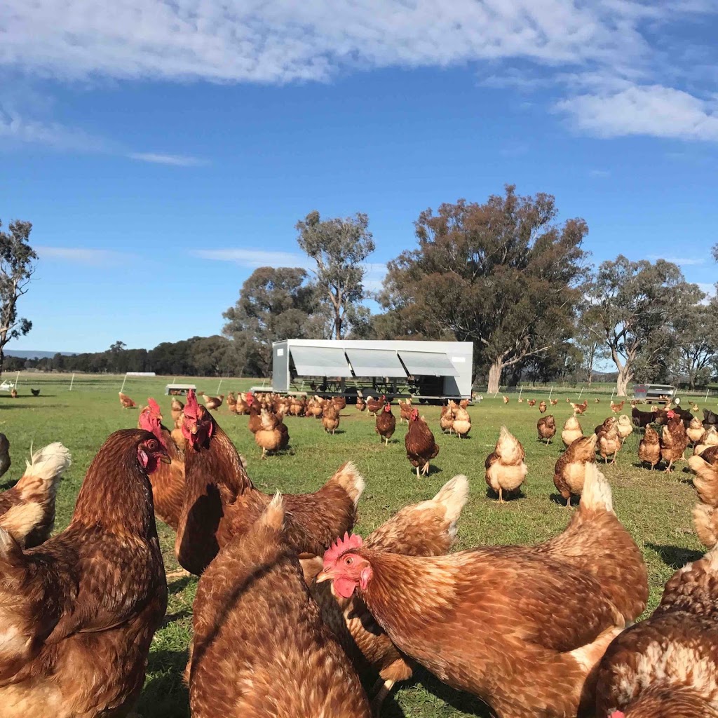 West Walla Farm | food | Windfall, 566 Walla W Rd, Walla Walla NSW 2659, Australia | 0432761555 OR +61 432 761 555