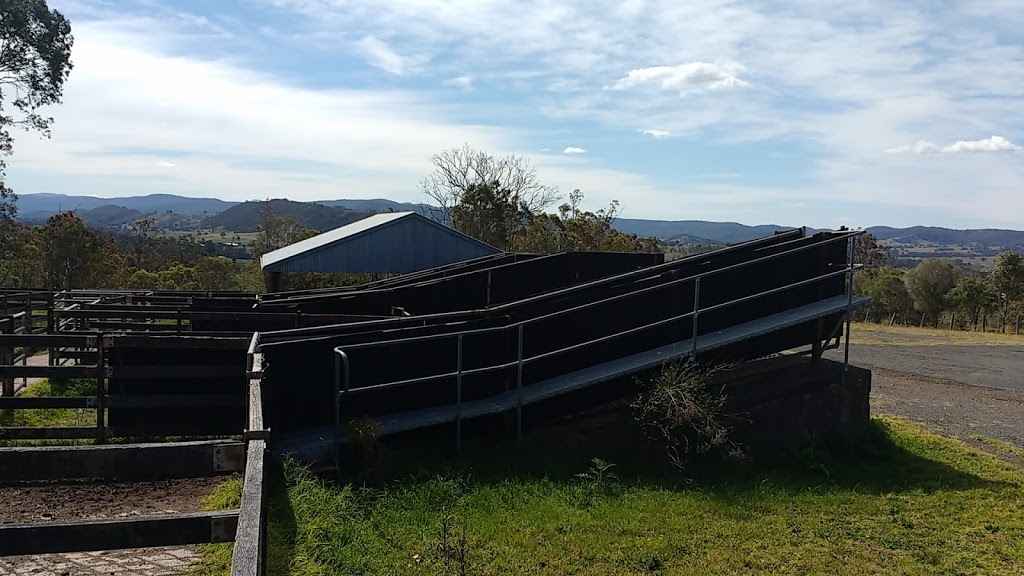 Dungog Saleyards | Short St, Dungog NSW 2420, Australia | Phone: (02) 4992 1704