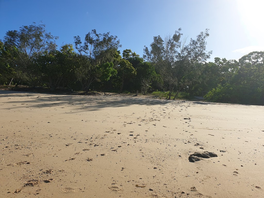 Nelly Bay | park | Trochus St, Dingo Beach QLD 4800, Australia