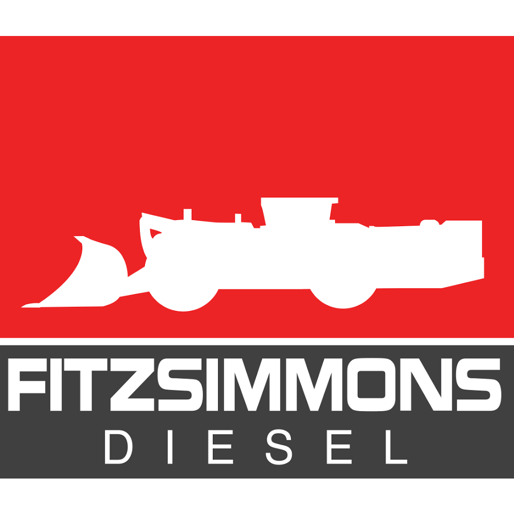 Fitzsimmons Diesel | car repair | 300 Picton Rd, Razorback NSW 2571, Australia | 0246773838 OR +61 2 4677 3838