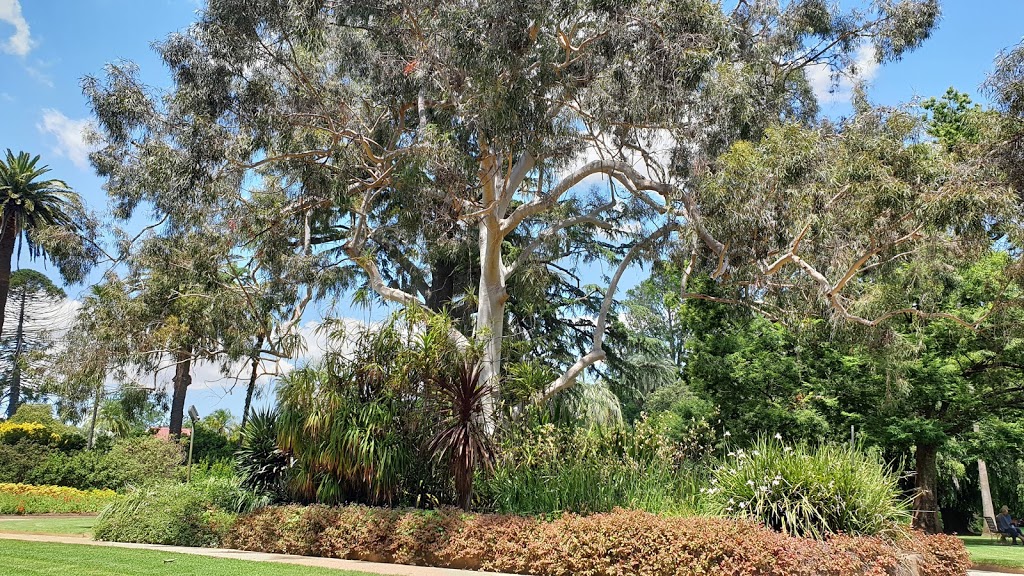 Albury Botanic Gardens | park | Dean Street and, Wodonga Pl, Albury NSW 2640, Australia | 0260238111 OR +61 2 6023 8111