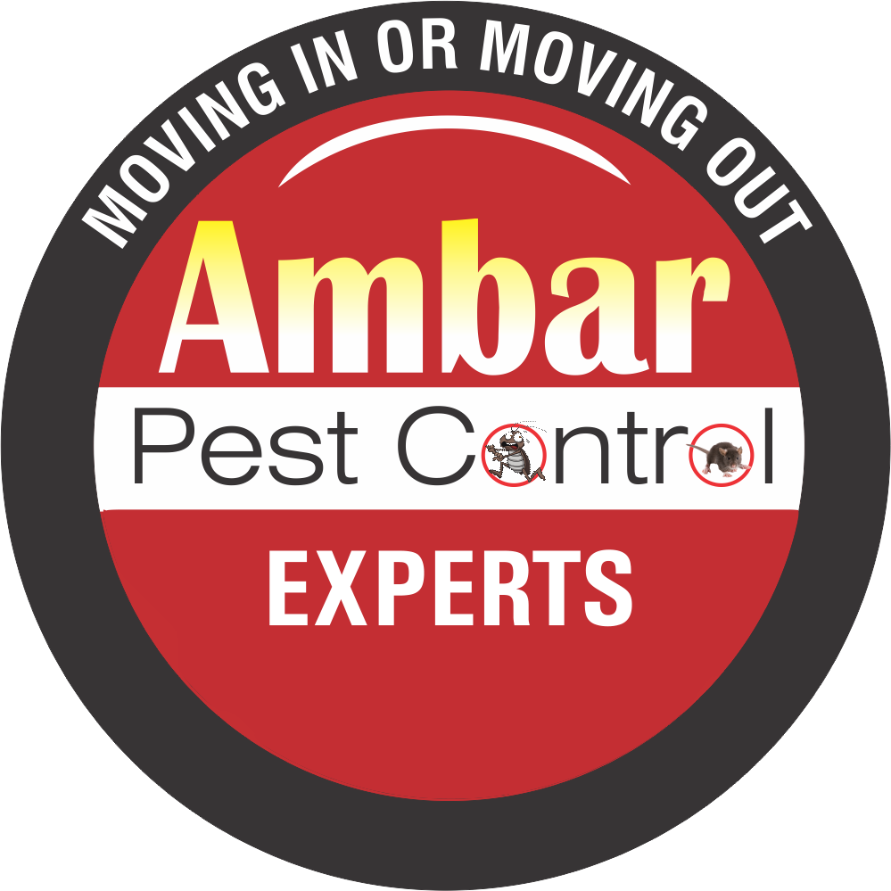 Ambar Pest Control Experts | home goods store | 62 Anthony St, Blacktown NSW 2148, Australia | 0433493730 OR +61 433 493 730