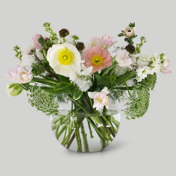 Gardenbird Flowers | florist | 23 Munna St, Wilston QLD 4051, Australia | 0412012566 OR +61 412 012 566