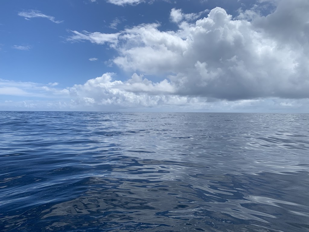 Keppel Bay SportFishing Club | 117 Emu Parade, Barmaryee QLD 4703, Australia | Phone: 0419 764 606