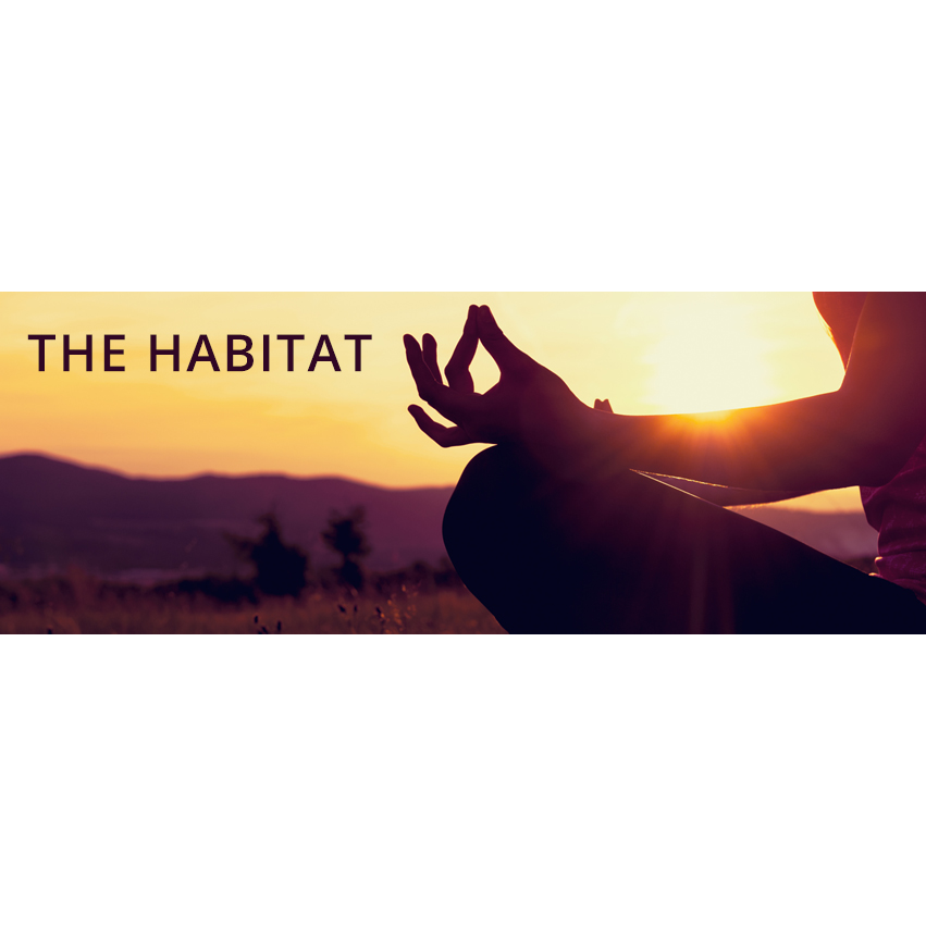 The Habitat Retreat | 15 Sallwood Ct, Pinbarren QLD 4568, Australia | Phone: 0408 719 127