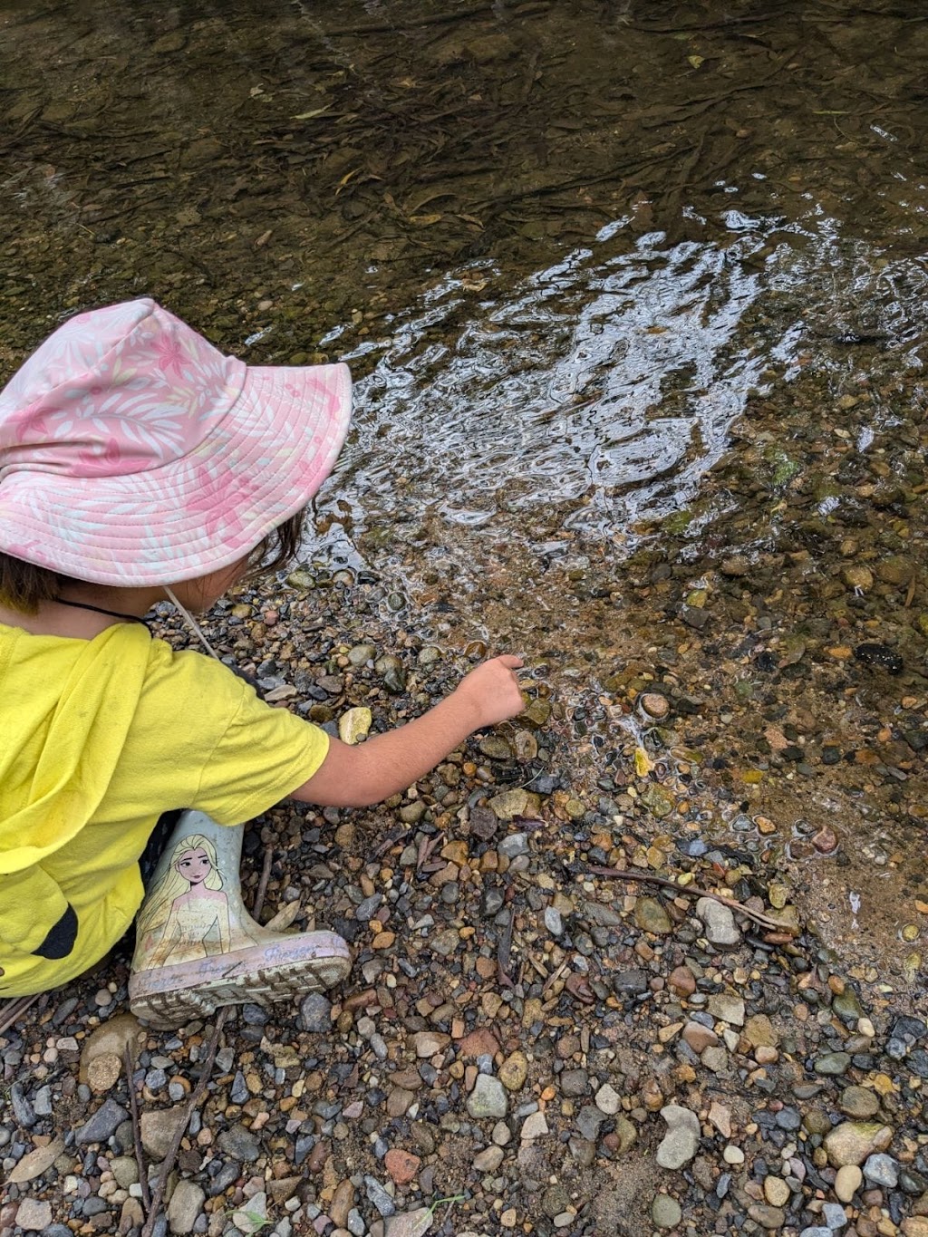 Bush Magic Adventure Therapy | 560 Avondale Rd, Avondale NSW 2530, Australia | Phone: 0428 909 895