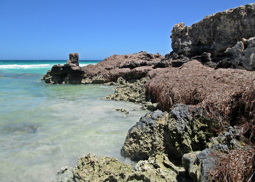 Mullaloo Beach North (Mullaloo Point) | 130 Oceanside Promenade, Ocean Reef WA 6027, Australia