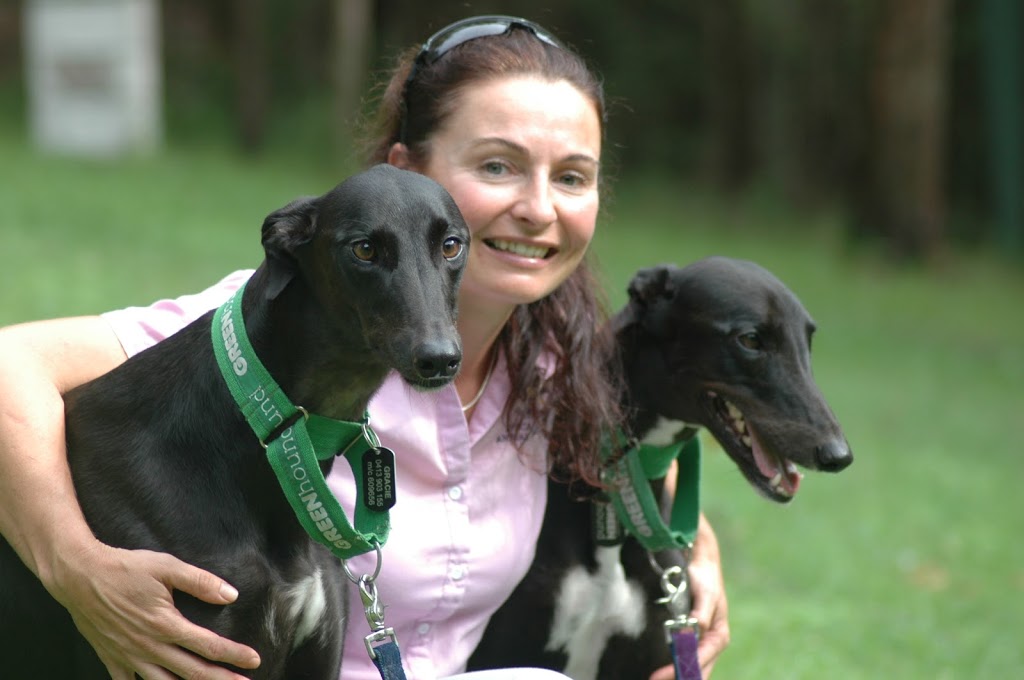 Avoca Drive Animal Hospital | veterinary care | 11 Avoca Dr, Erina NSW 2250, Australia | 0243651086 OR +61 2 4365 1086