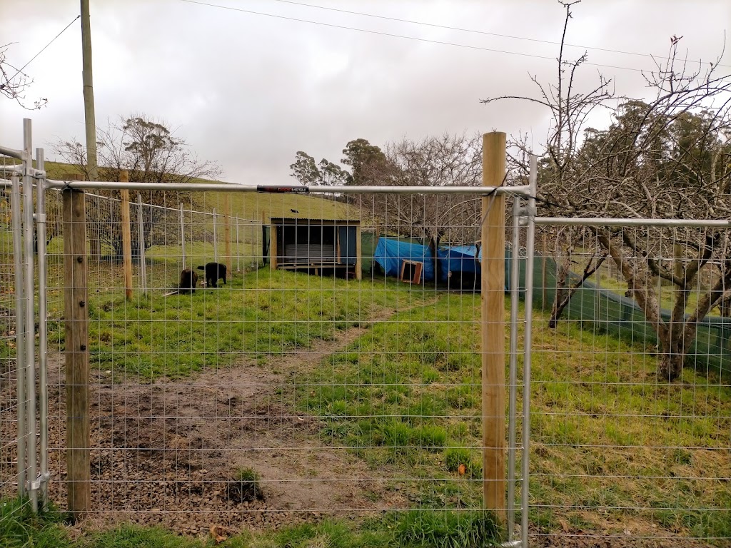 North East Animal Sanctuary Tasmania | 27 Gladstone Rd, Herrick TAS 7264, Australia | Phone: 0484 319 561