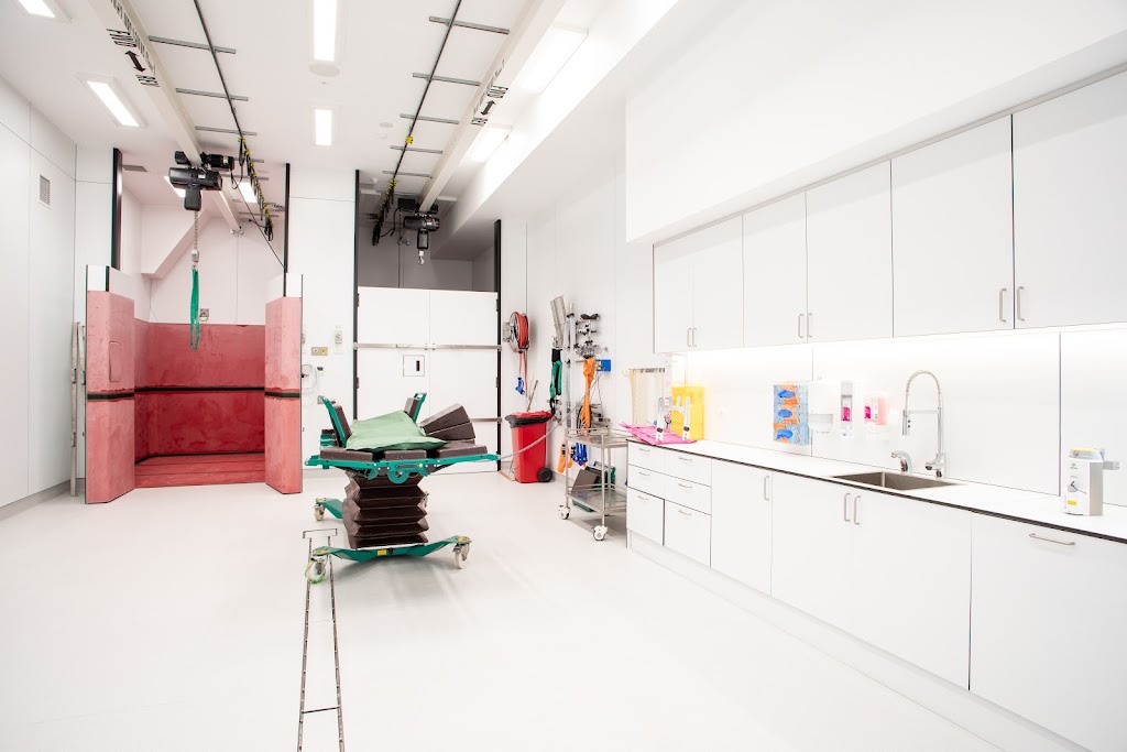 Willinga Park Equine Vet Hospital | 134 Forster Dr, Bawley Point NSW 2539, Australia | Phone: (02) 4405 5658